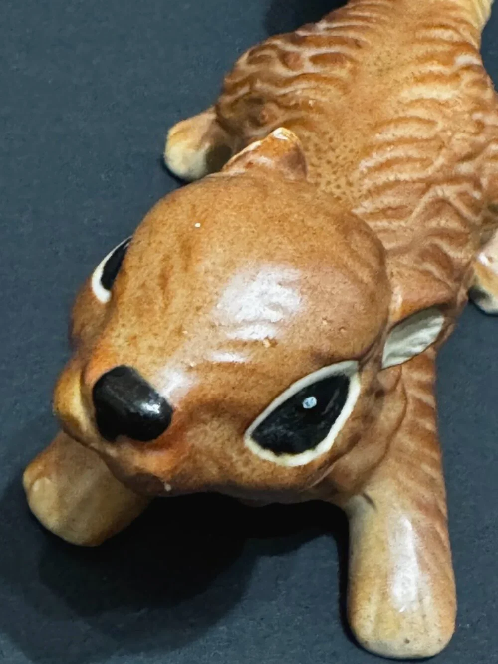 N/A norcrest squirrel